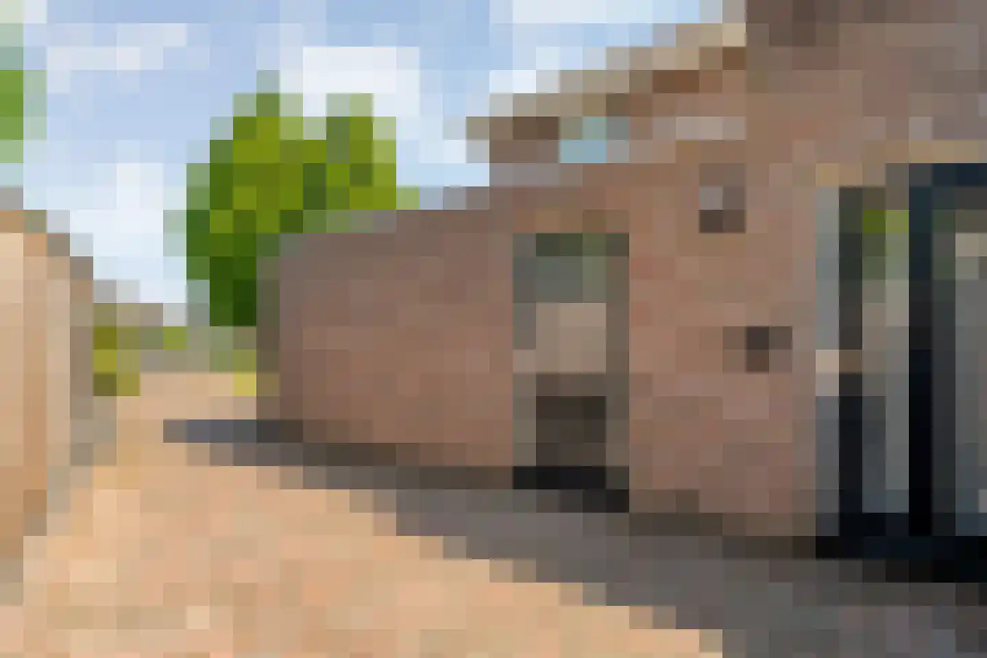 Levimaat 63 Dwingeloo thumbnail 53