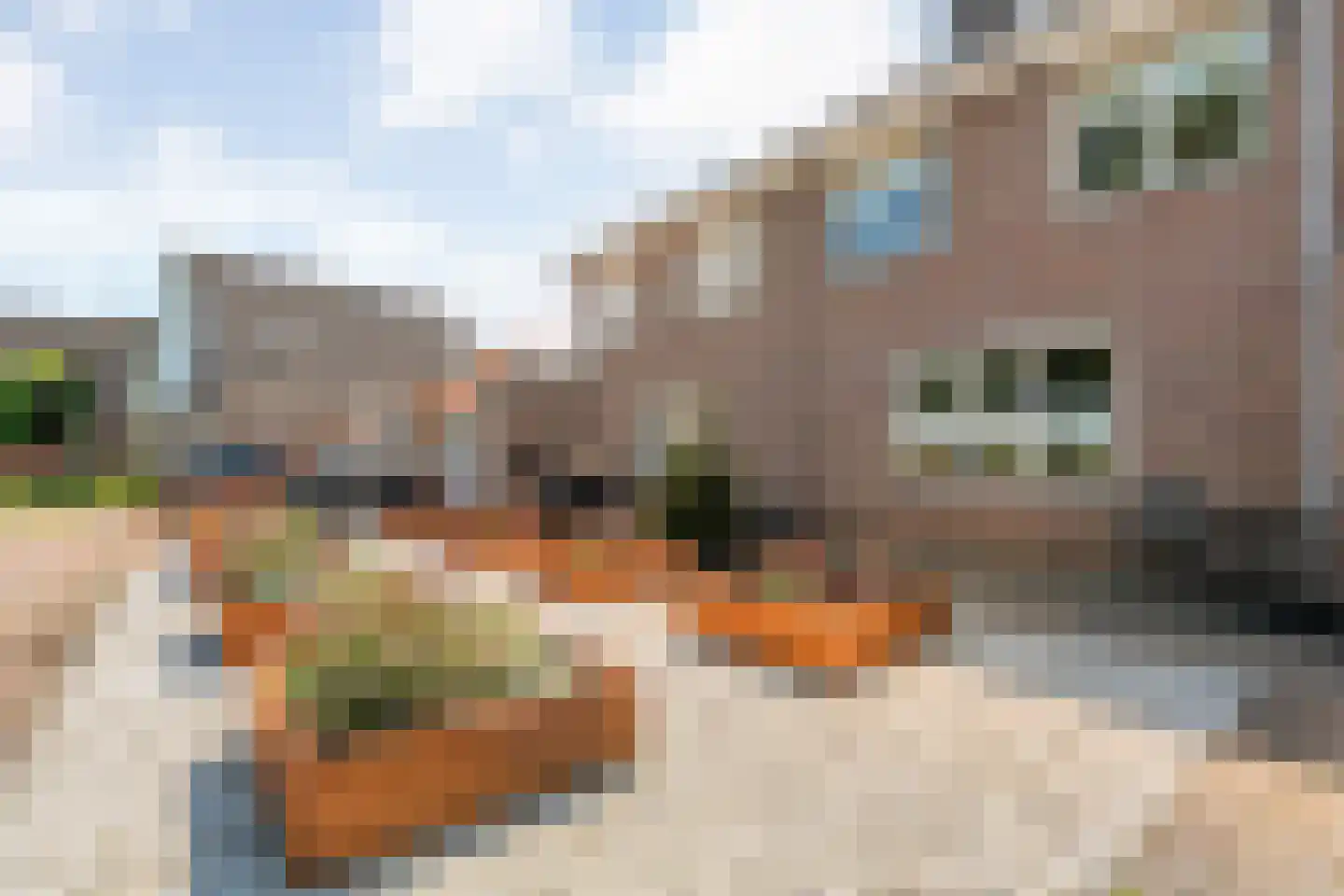Levimaat 63 Dwingeloo thumbnail 54