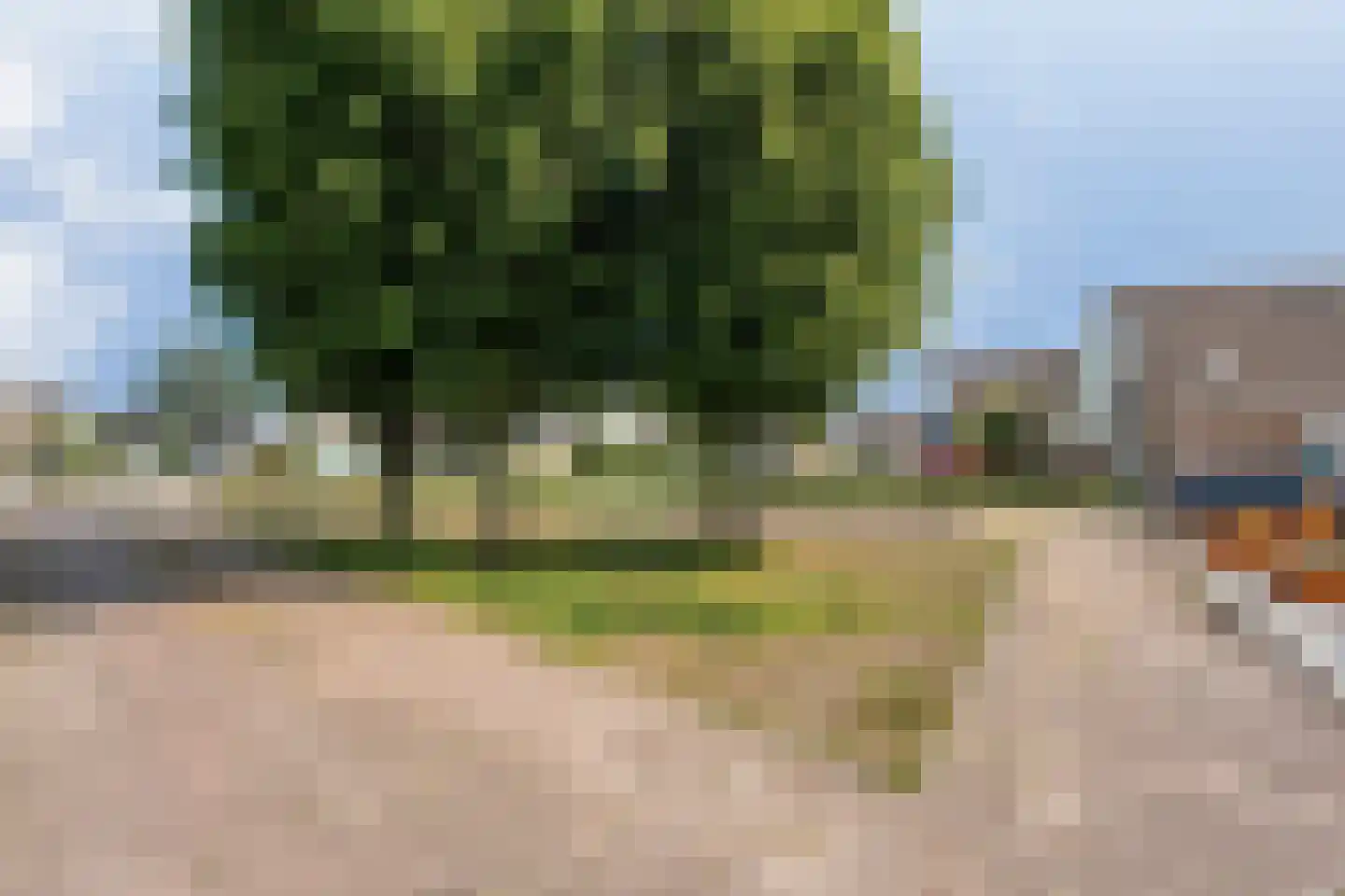Levimaat 63 Dwingeloo thumbnail 60