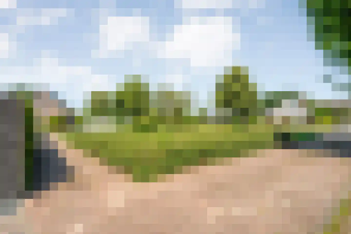 Levimaat 63 Dwingeloo thumbnail 61