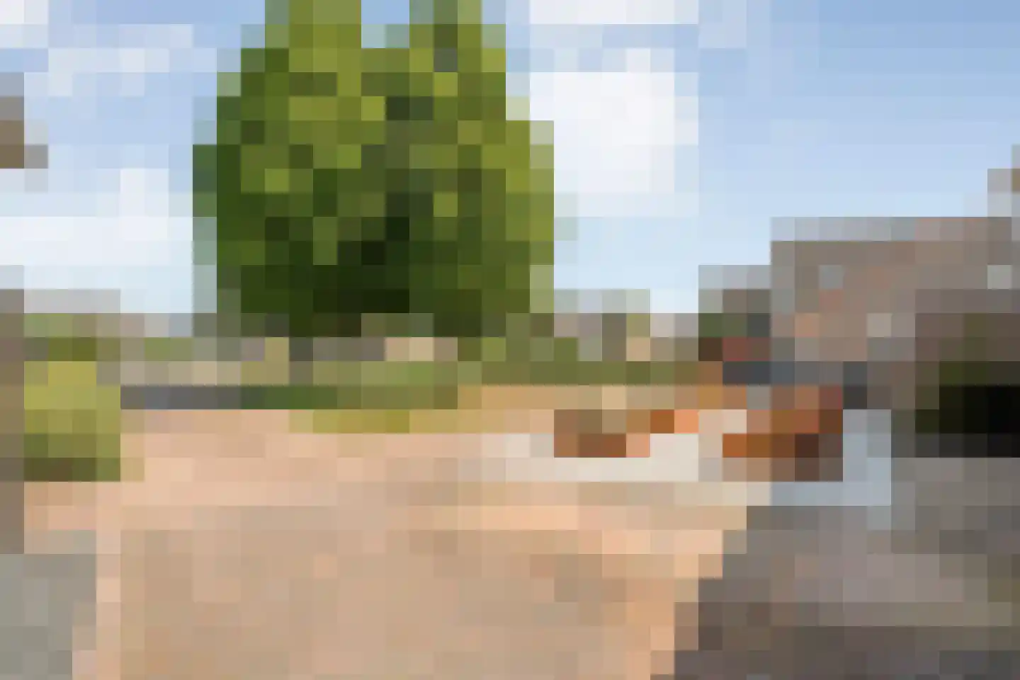 Levimaat 63 Dwingeloo thumbnail 62