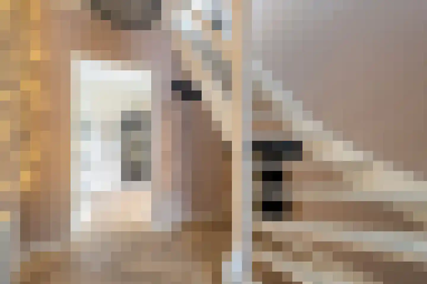 Levimaat 63 Dwingeloo thumbnail 7