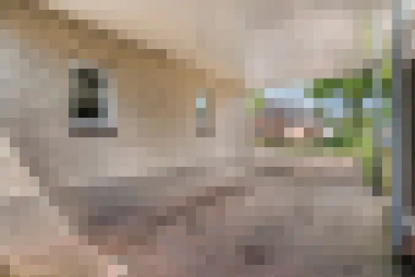 Levimaat 67 Dwingeloo thumbnail 13