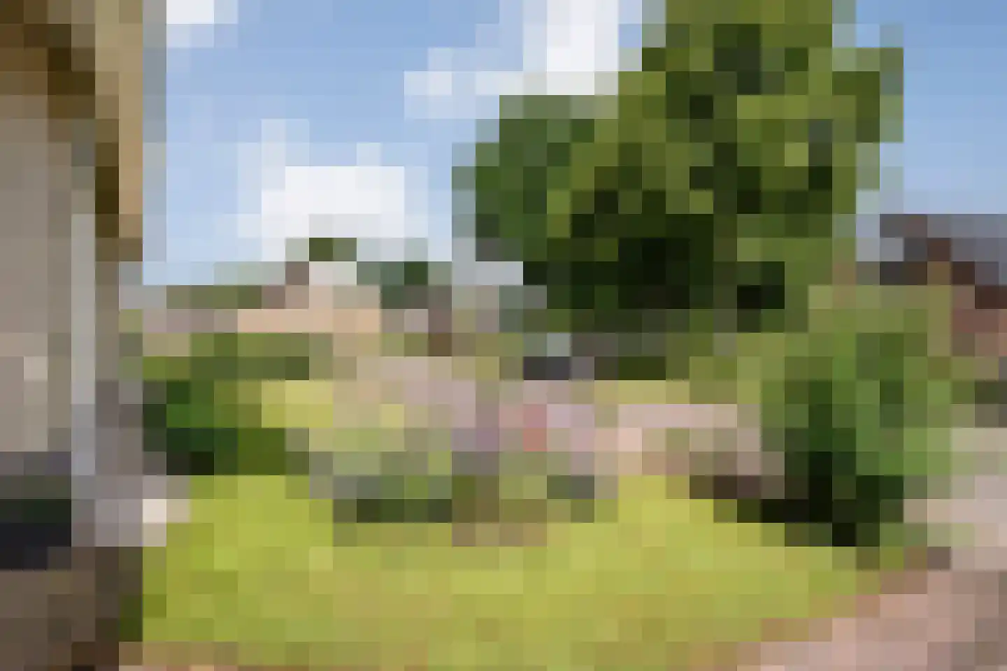 Levimaat 67 Dwingeloo thumbnail 14