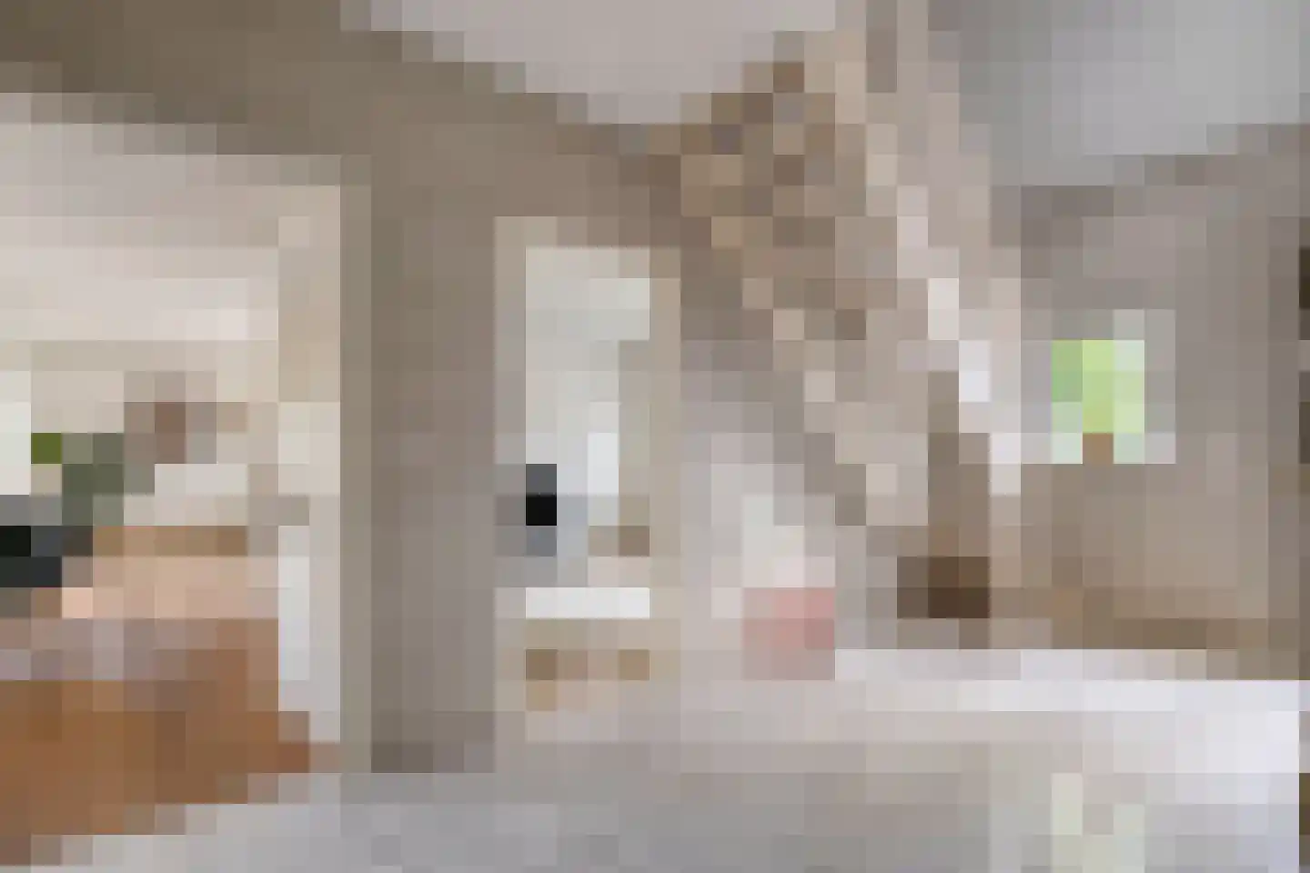 Levimaat 67 Dwingeloo thumbnail 16