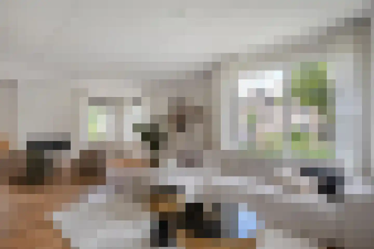 Levimaat 67 Dwingeloo thumbnail 20