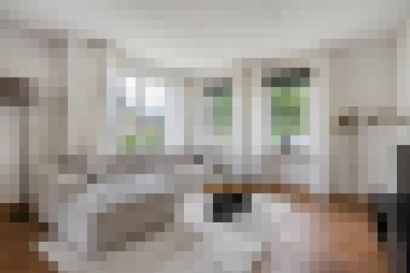 Levimaat 67 Dwingeloo thumbnail 23