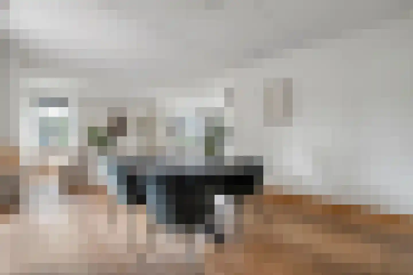 Levimaat 67 Dwingeloo thumbnail 25