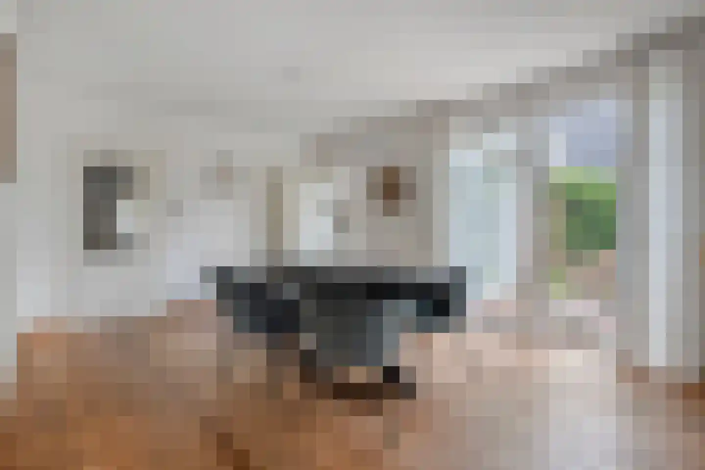 Levimaat 67 Dwingeloo thumbnail 27