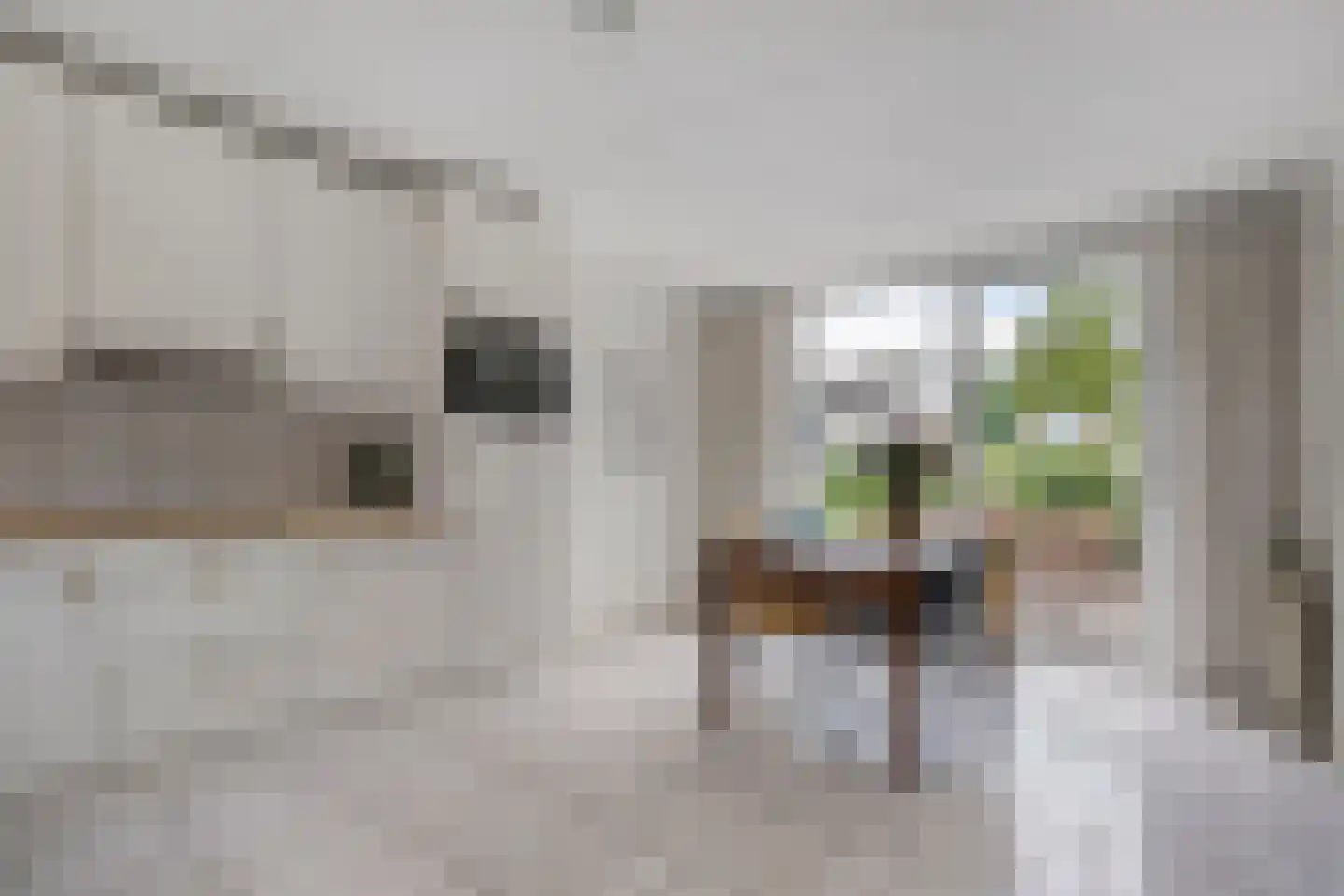 Levimaat 67 Dwingeloo thumbnail 30