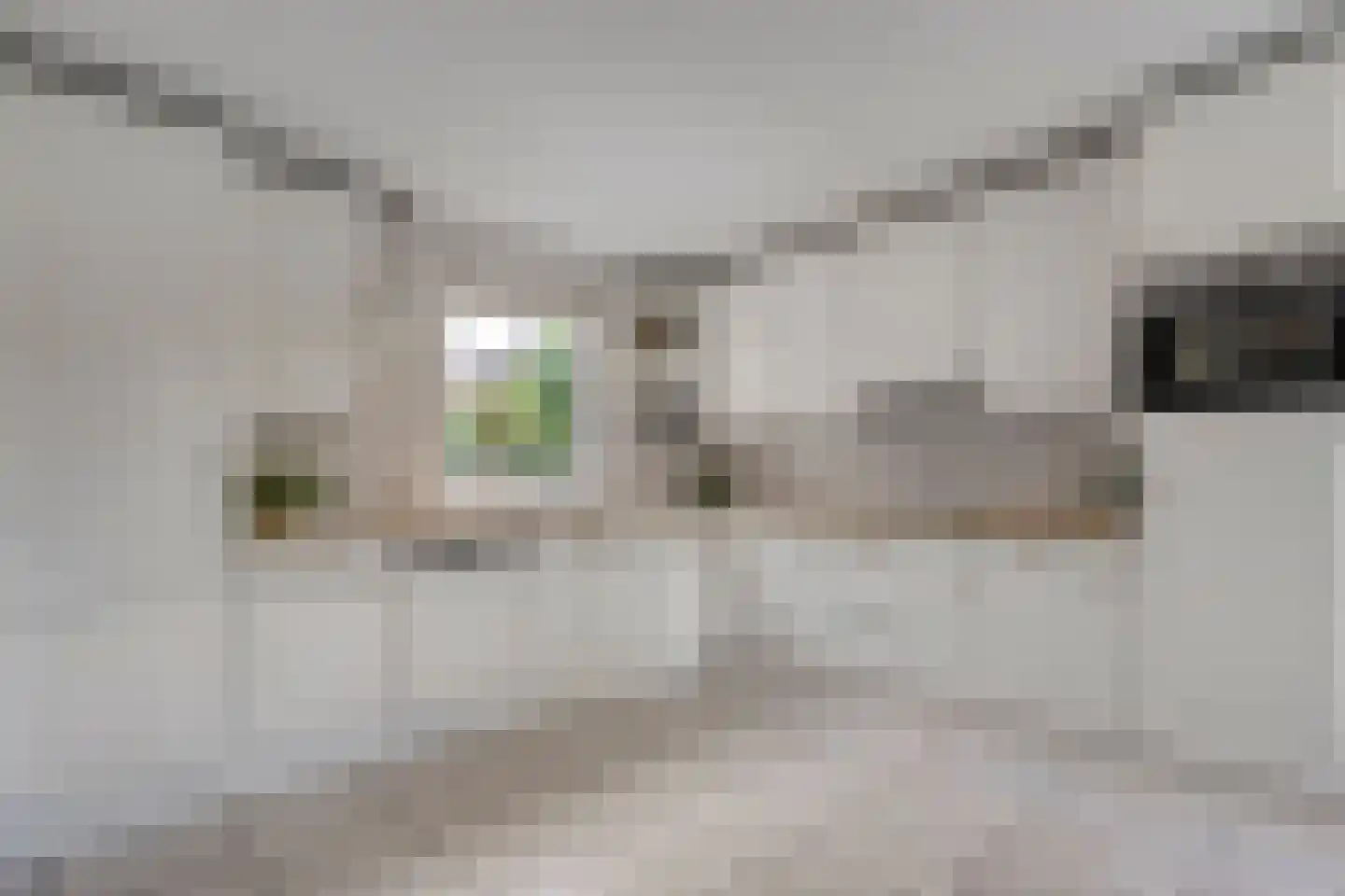 Levimaat 67 Dwingeloo thumbnail 31