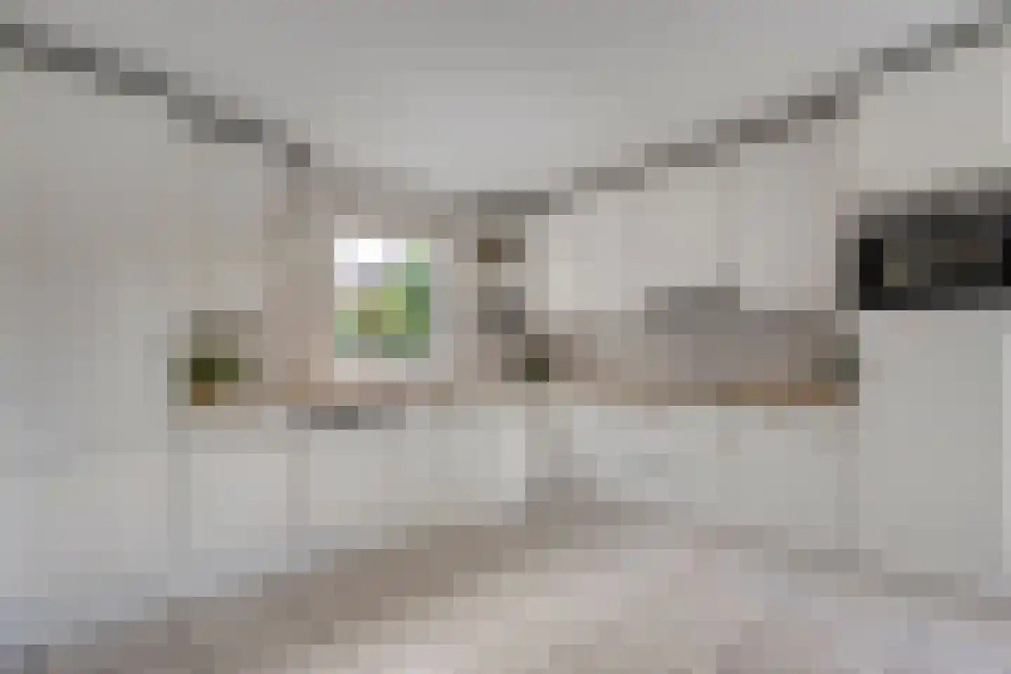 Levimaat 67 Dwingeloo thumbnail 31