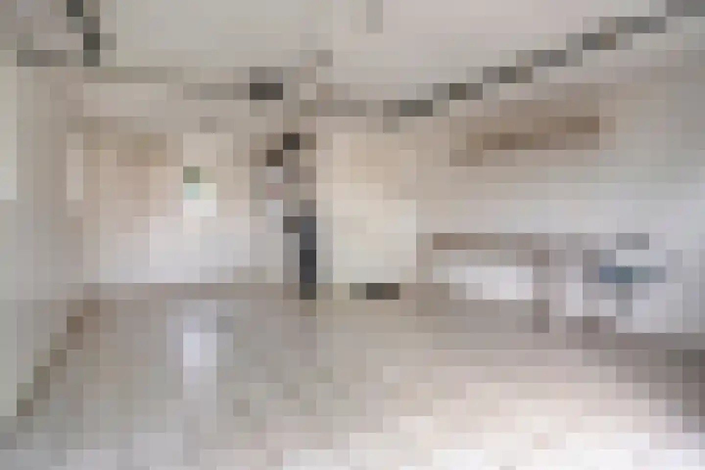 Levimaat 67 Dwingeloo thumbnail 37