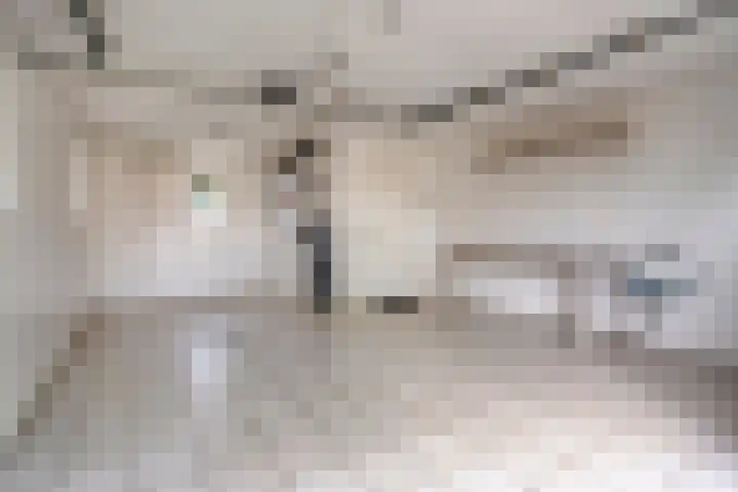 Levimaat 67 Dwingeloo thumbnail 37