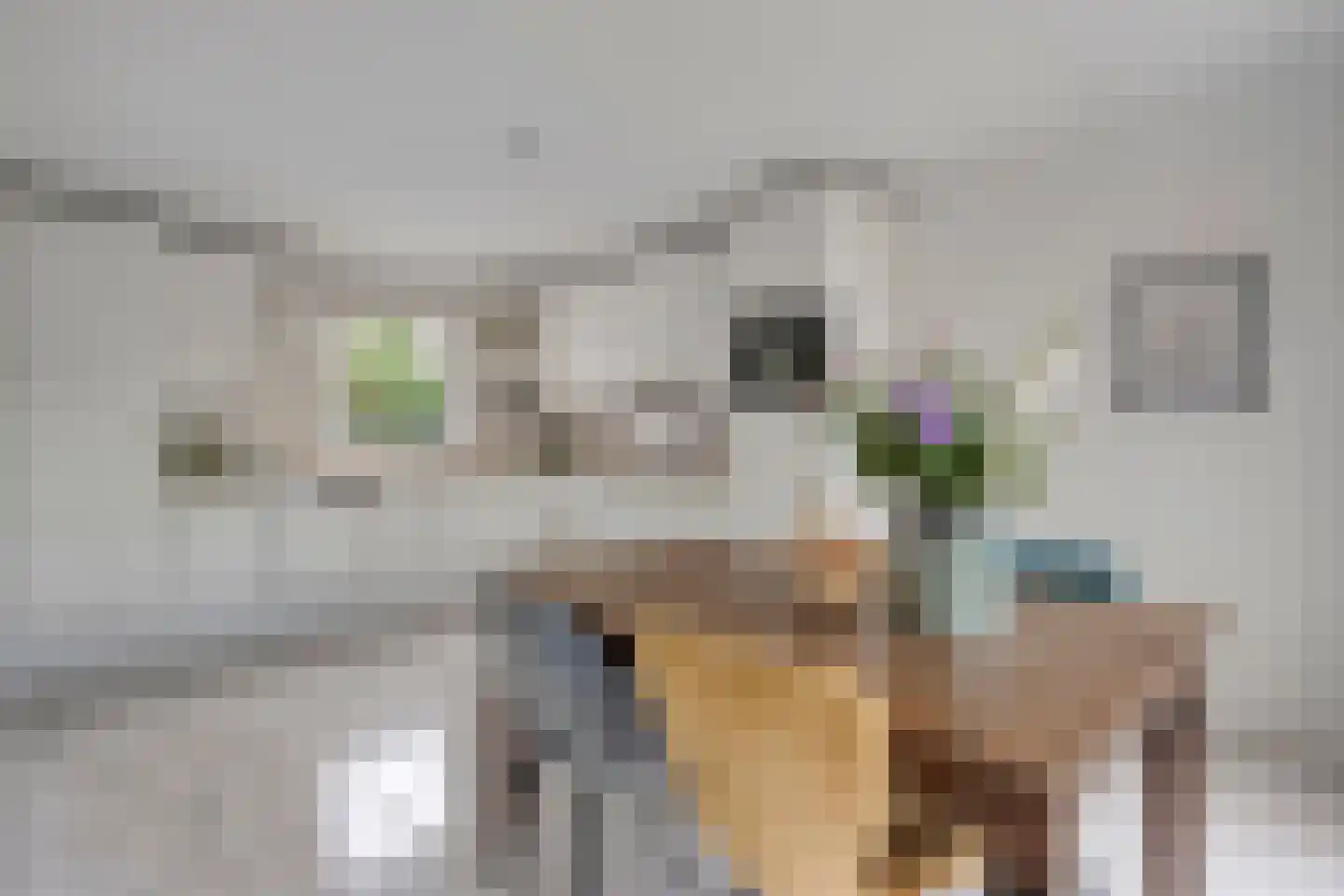 Levimaat 67 Dwingeloo thumbnail 4