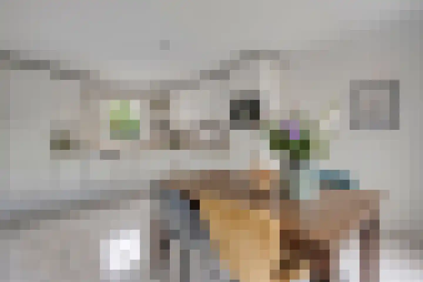 Levimaat 67 Dwingeloo thumbnail 4