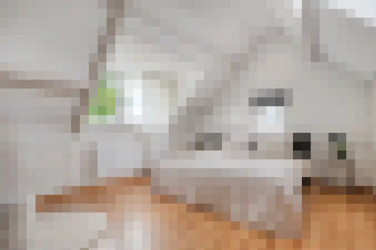 Levimaat 67 Dwingeloo thumbnail 42