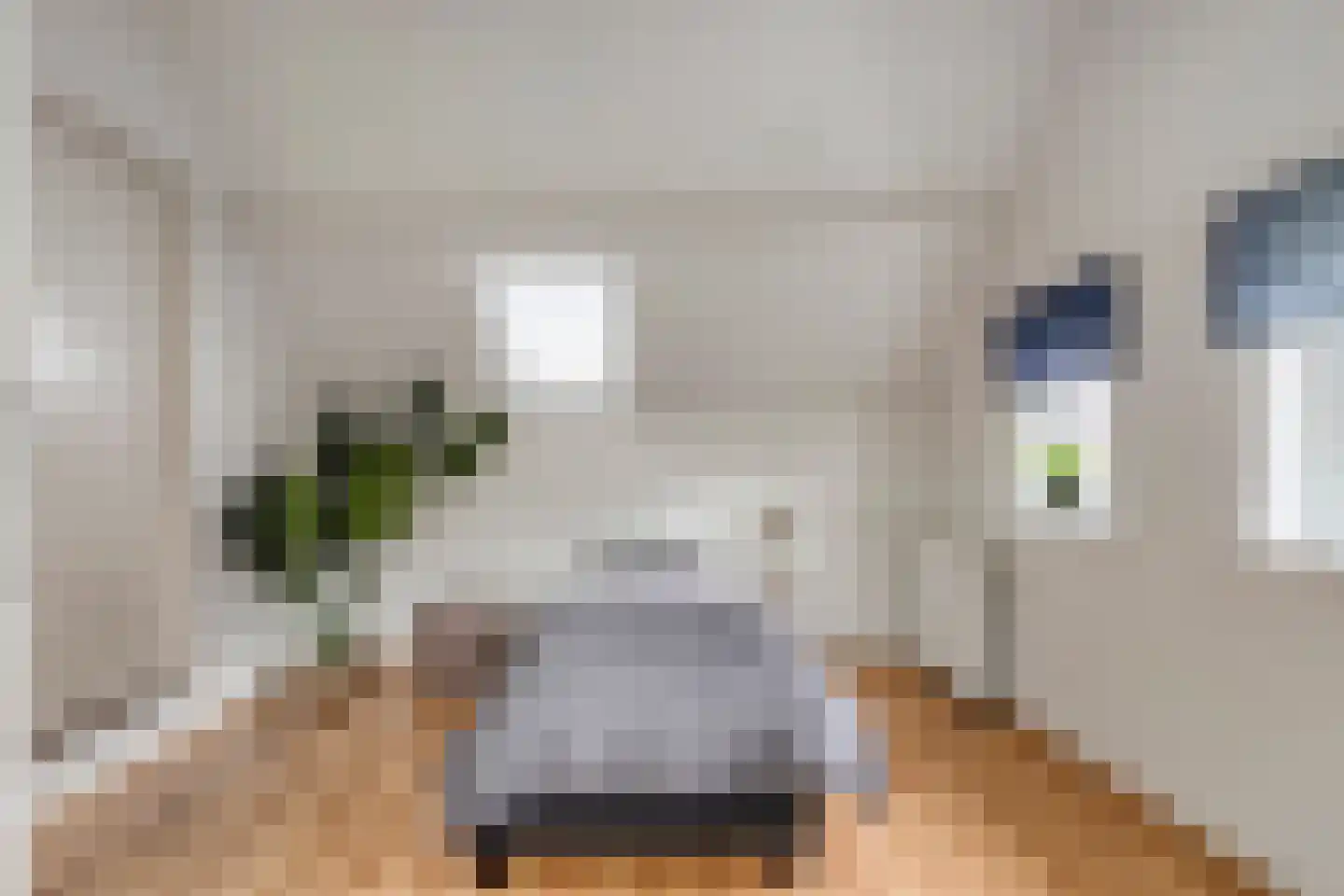 Levimaat 67 Dwingeloo thumbnail 45