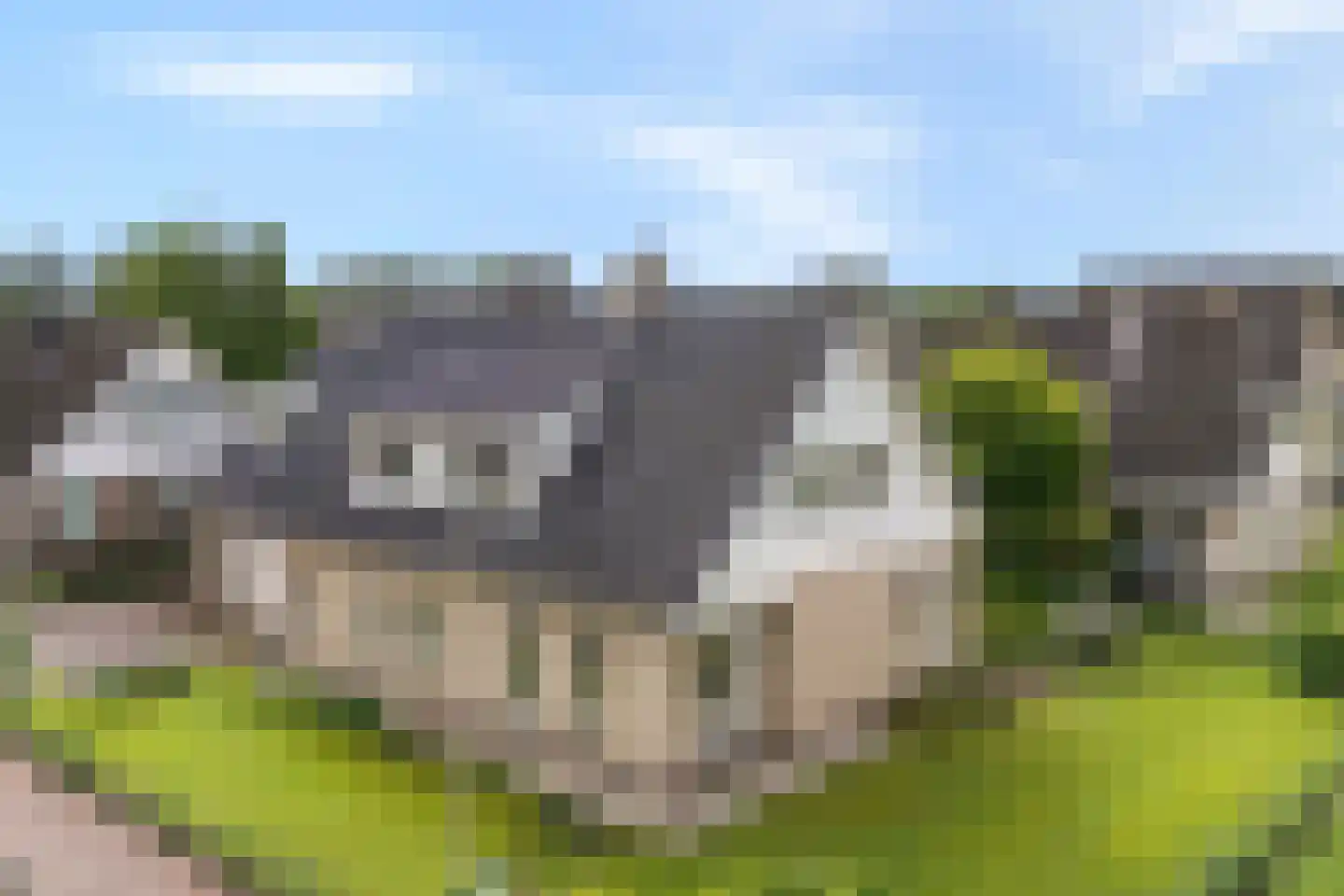Levimaat 67 Dwingeloo thumbnail 5