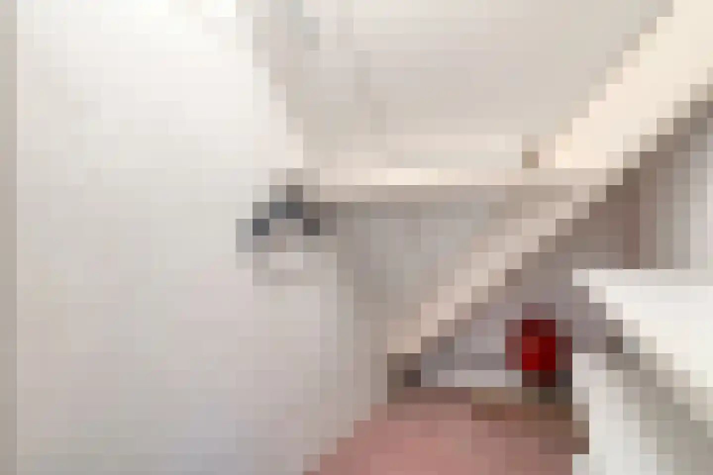 Levimaat 67 Dwingeloo thumbnail 54