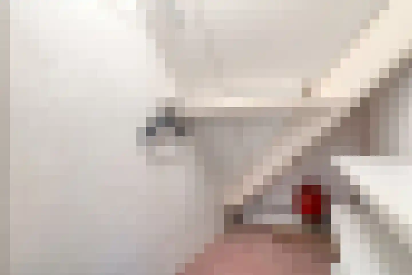 Levimaat 67 Dwingeloo thumbnail 54