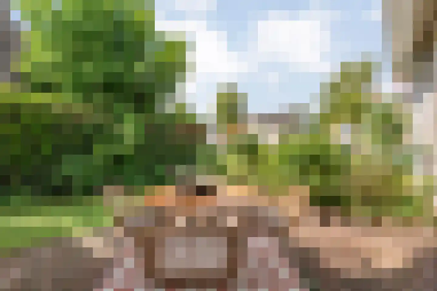 Levimaat 67 Dwingeloo thumbnail 56