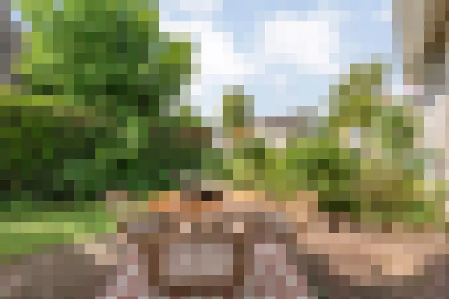 Levimaat 67 Dwingeloo thumbnail 56