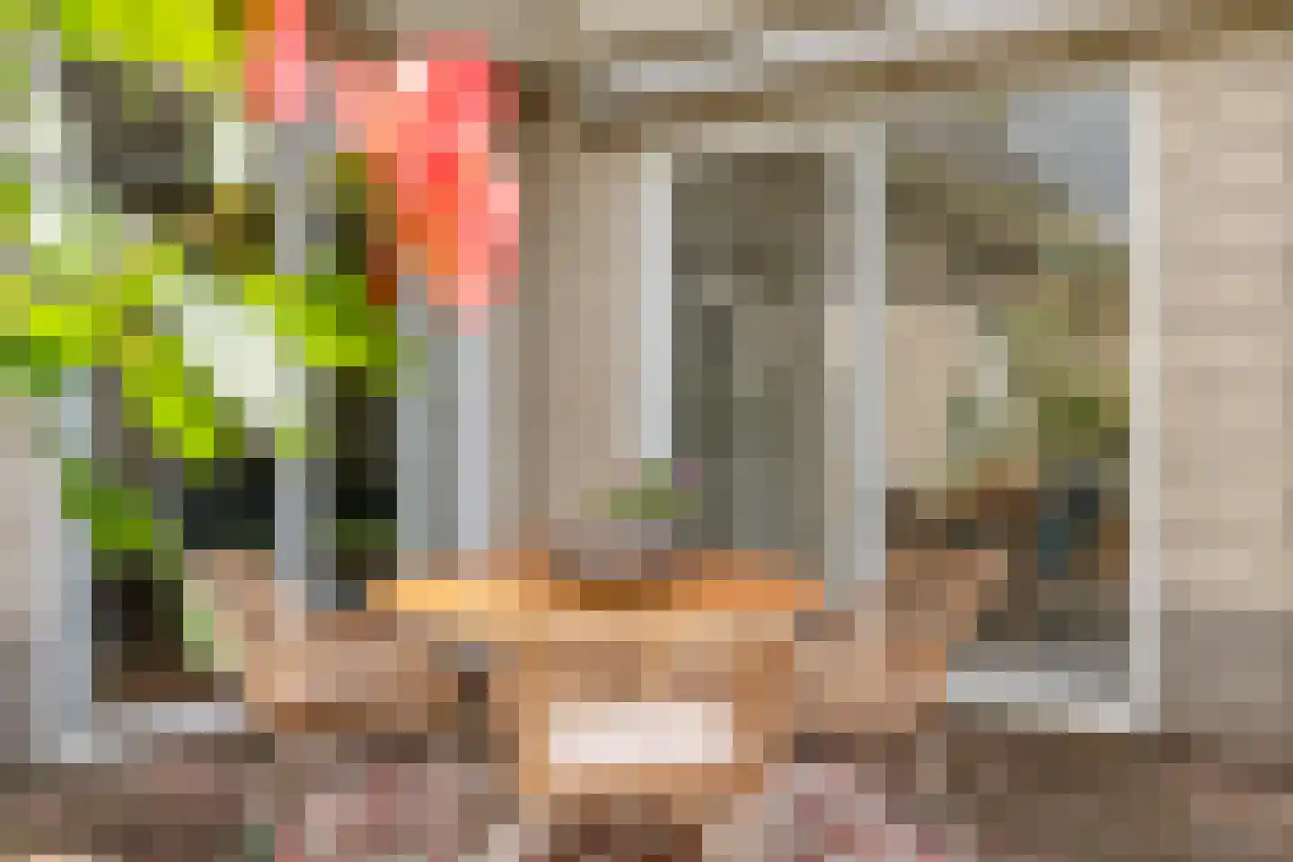 Levimaat 67 Dwingeloo thumbnail 57