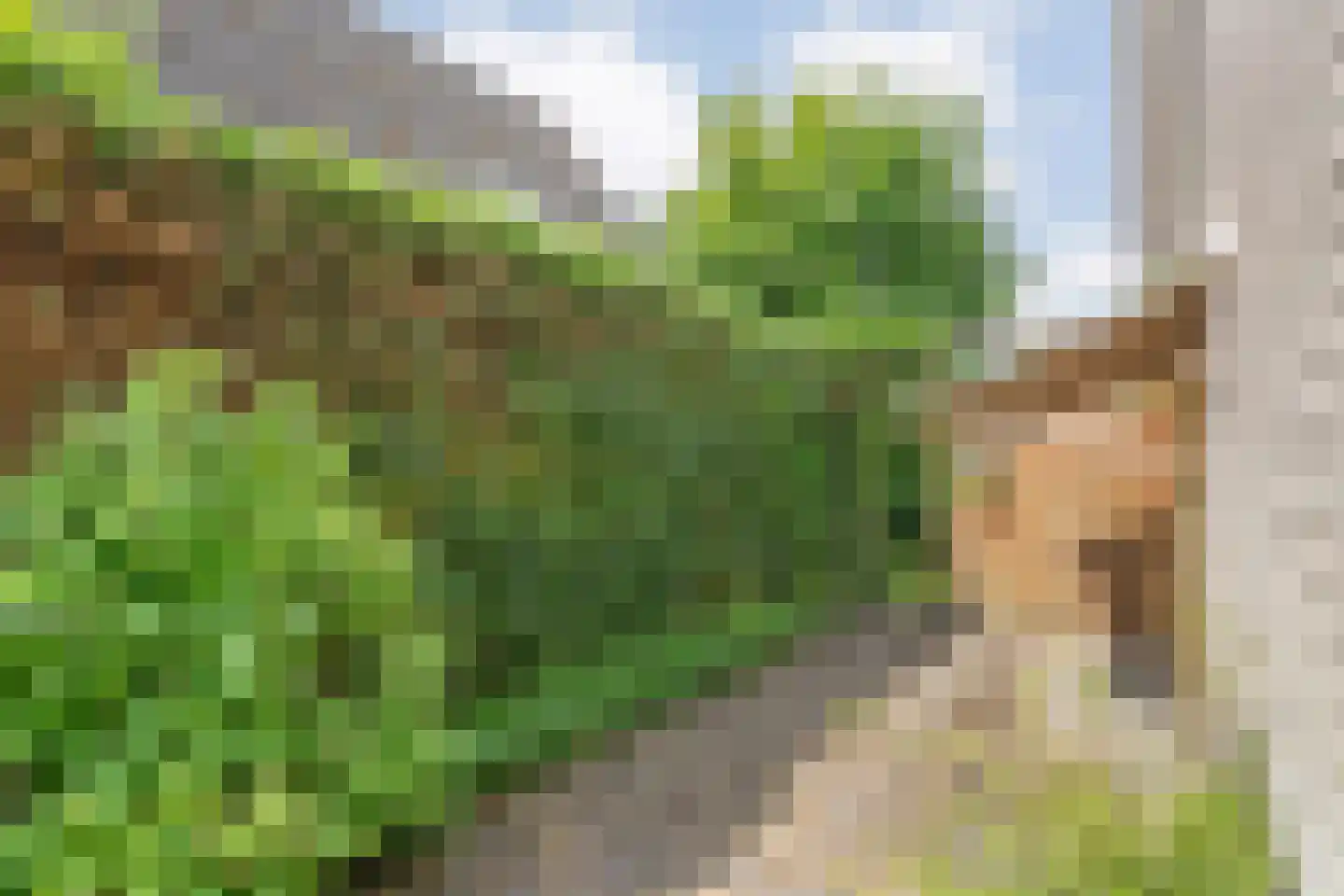 Levimaat 67 Dwingeloo thumbnail 58