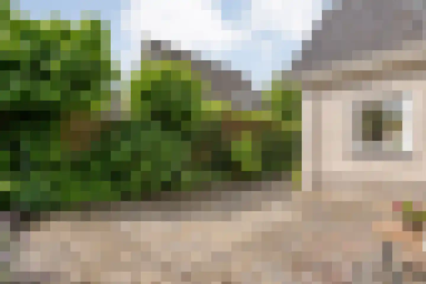 Levimaat 67 Dwingeloo thumbnail 59