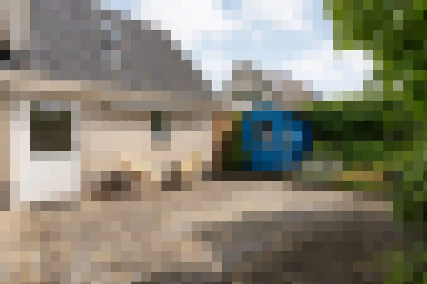 Levimaat 67 Dwingeloo thumbnail 59