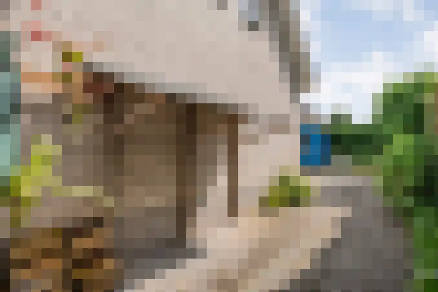 Levimaat 67 Dwingeloo thumbnail 60