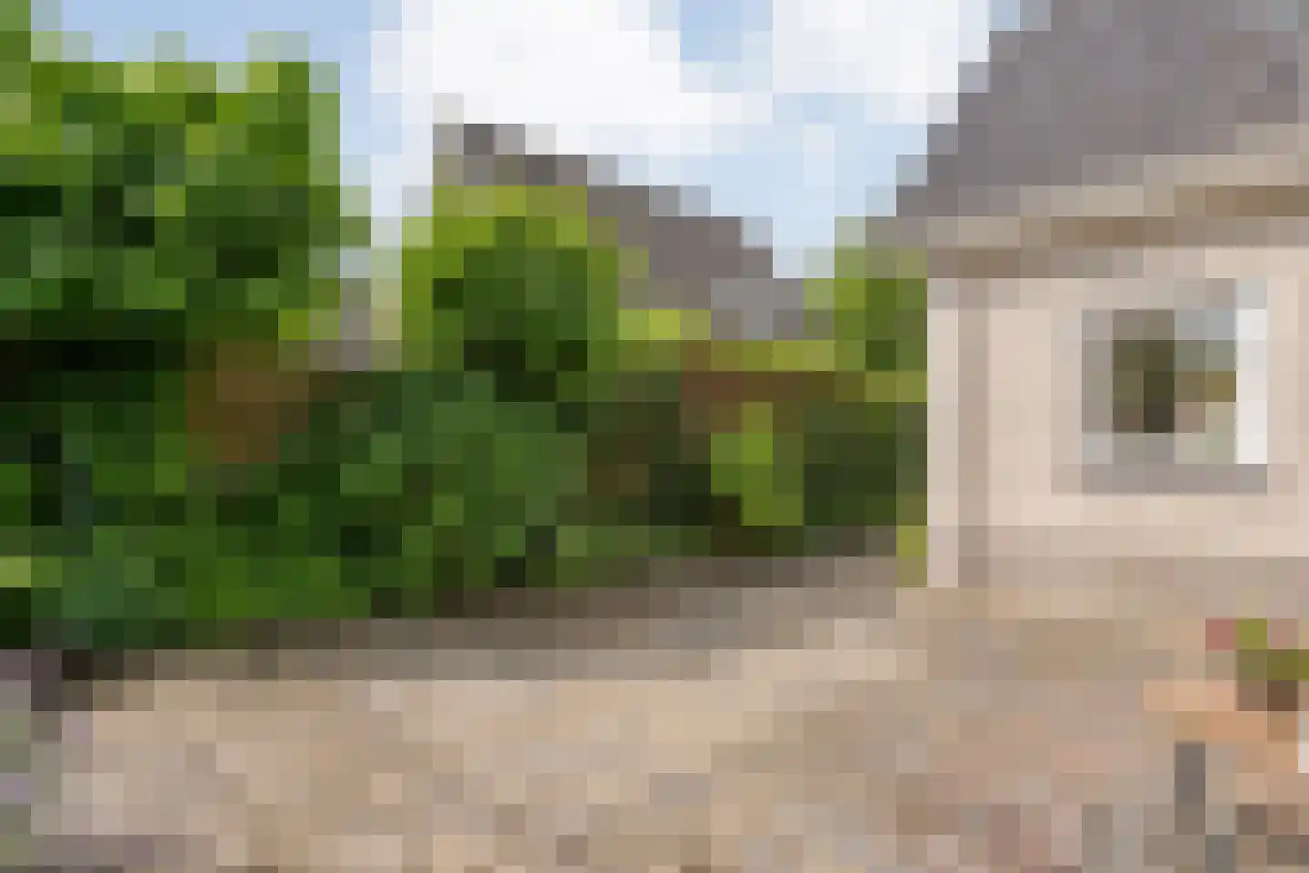 Levimaat 67 Dwingeloo thumbnail 61