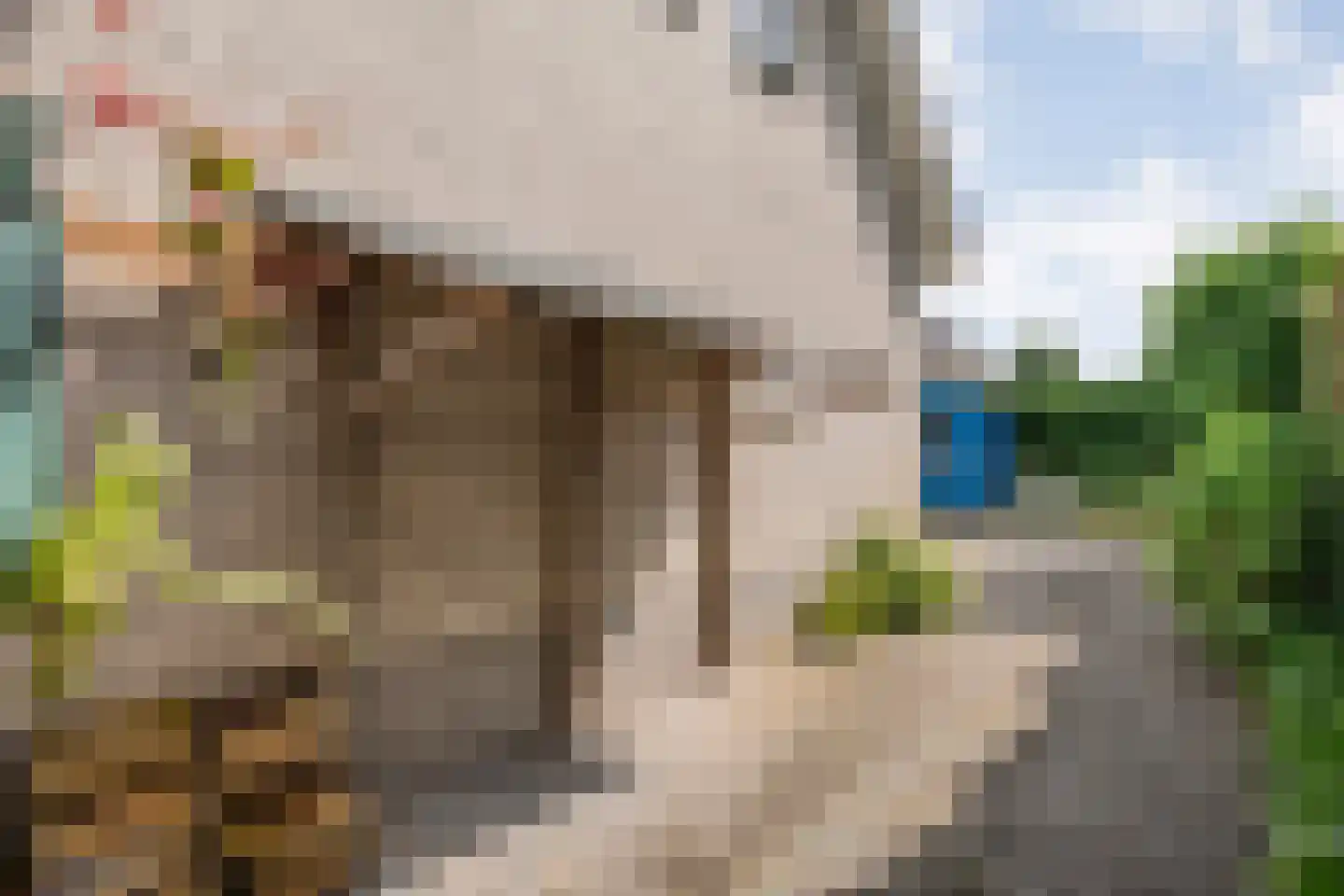 Levimaat 67 Dwingeloo thumbnail 62