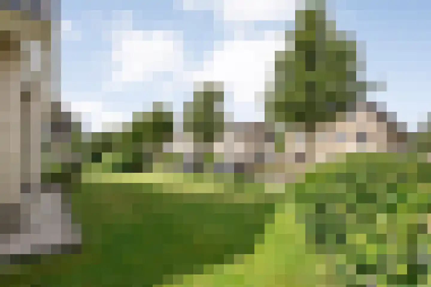 Levimaat 67 Dwingeloo thumbnail 63