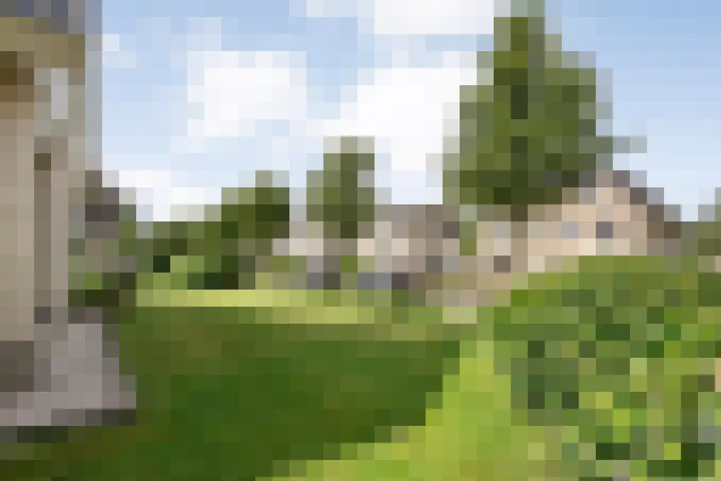Levimaat 67 Dwingeloo thumbnail 63