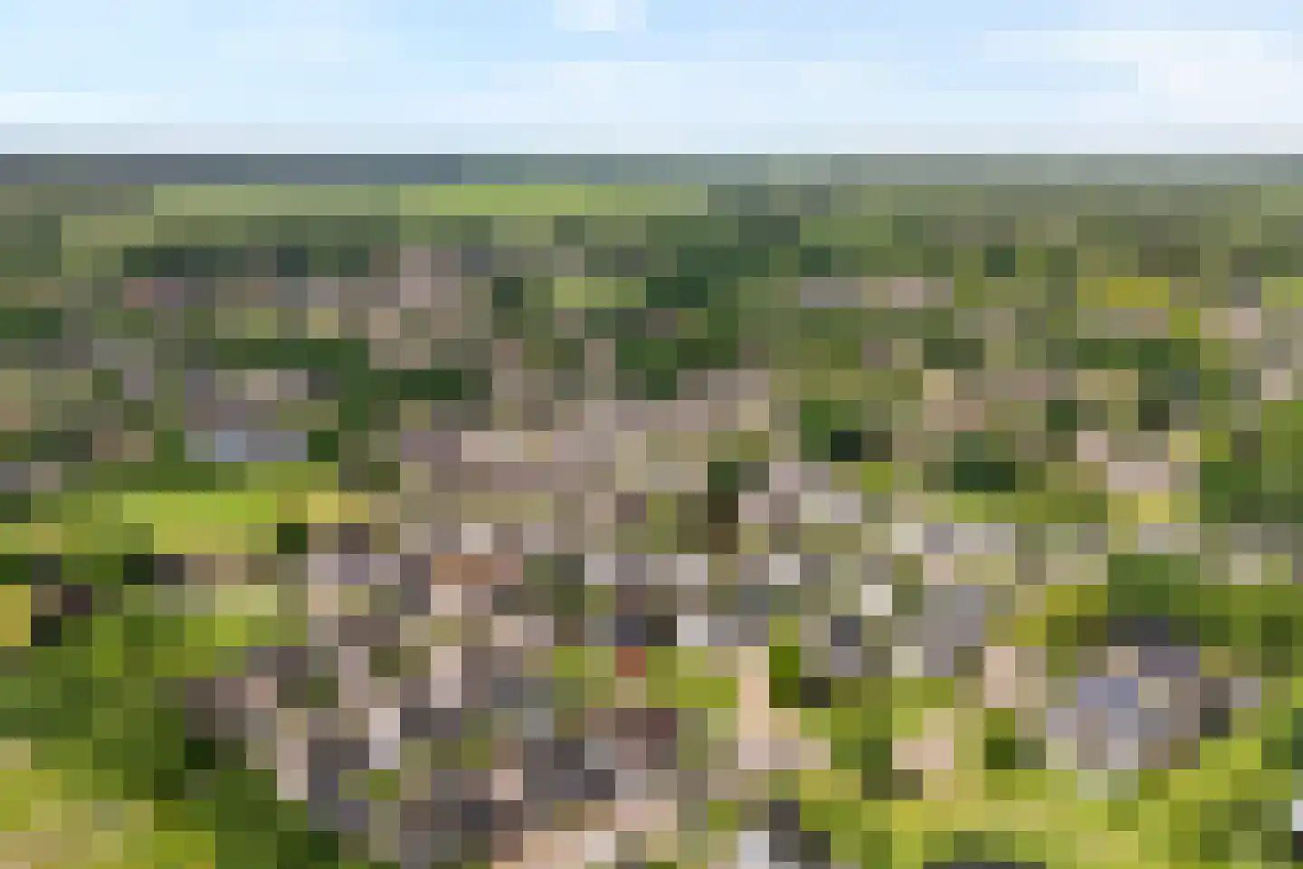Levimaat 67 Dwingeloo thumbnail 7