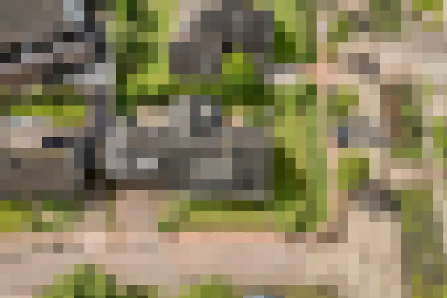 Levimaat 67 Dwingeloo thumbnail 8