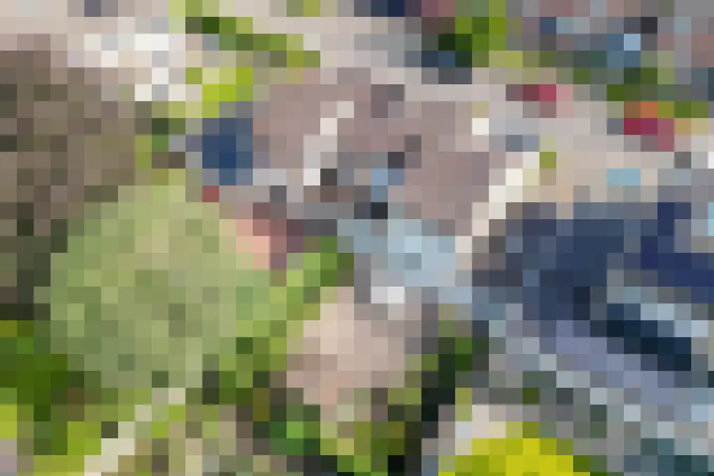 Levinkskamp 25 Enschede thumbnail 41