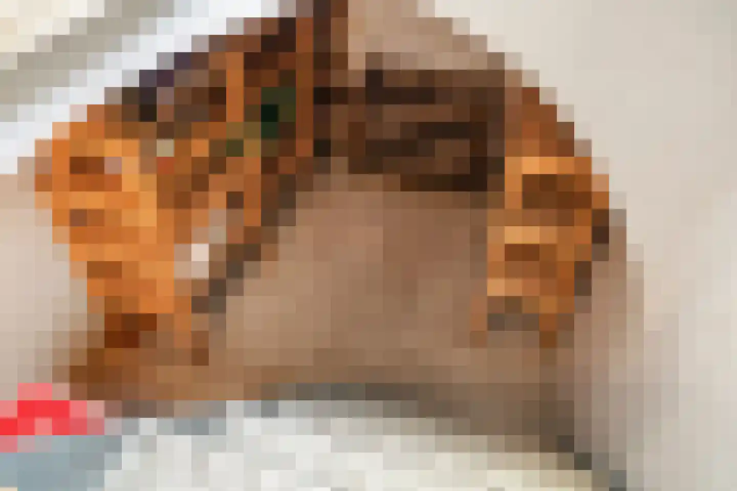 Levroy 22 Swalmen thumbnail 18