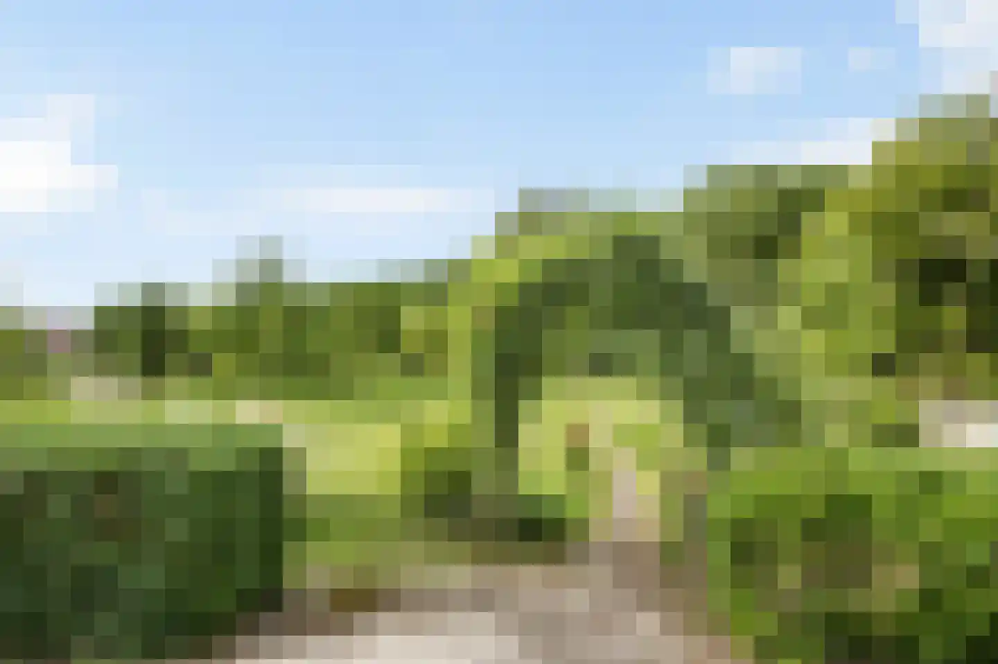 Levroy 22 Swalmen thumbnail 33