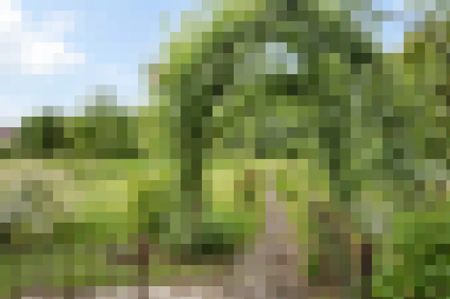 Levroy 22 Swalmen thumbnail 34