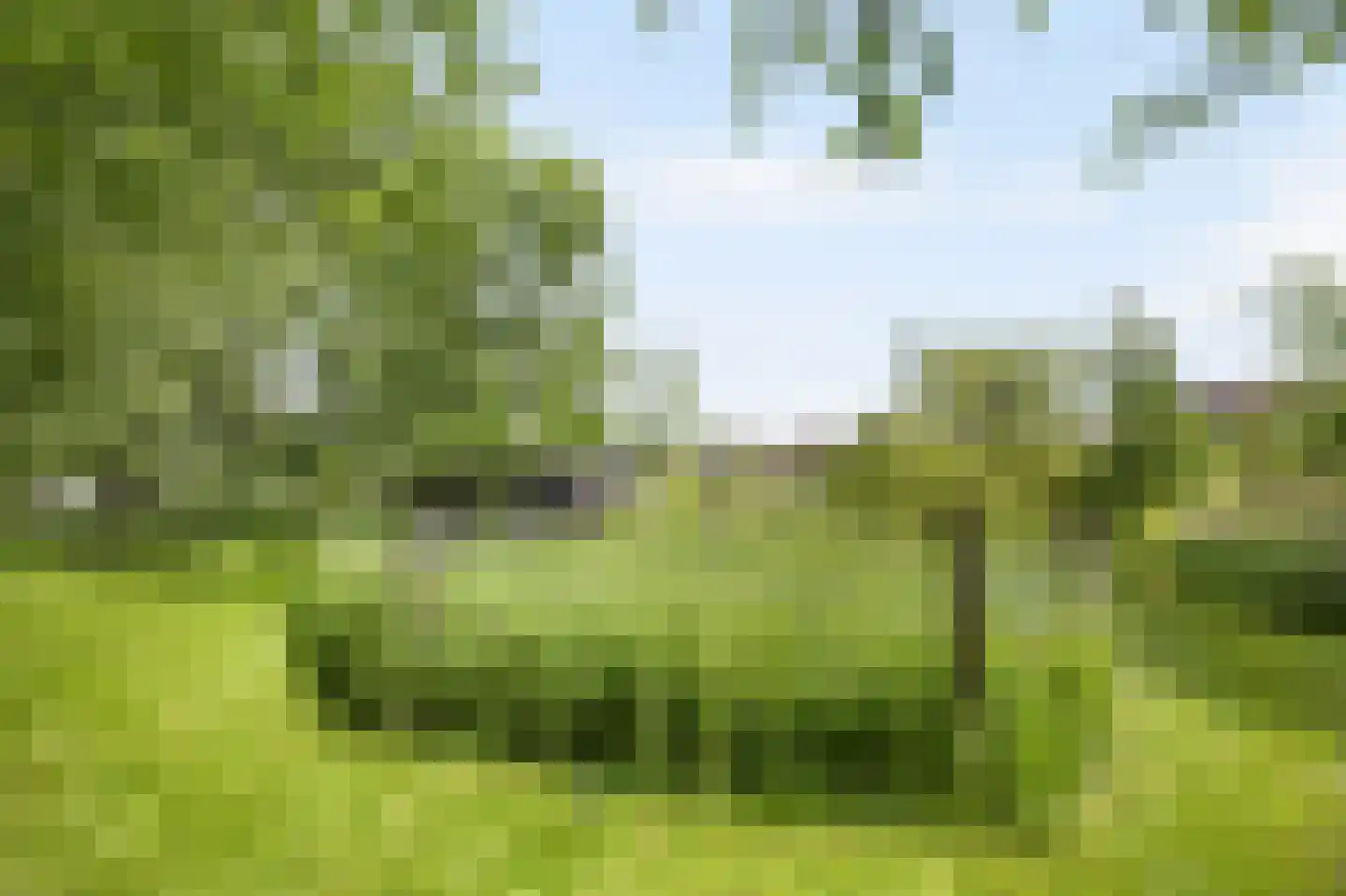 Levroy 22 Swalmen thumbnail 36