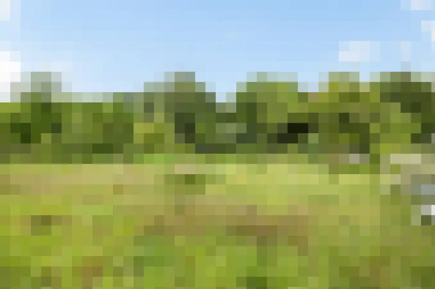Levroy 22 Swalmen thumbnail 37