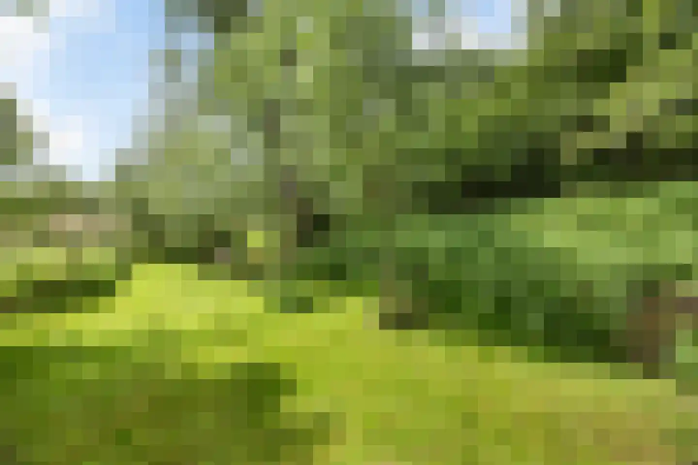 Levroy 22 Swalmen thumbnail 38