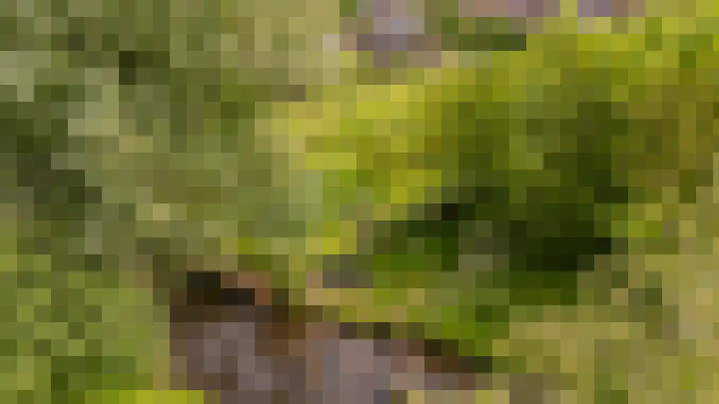 Levroy 22 Swalmen thumbnail 40
