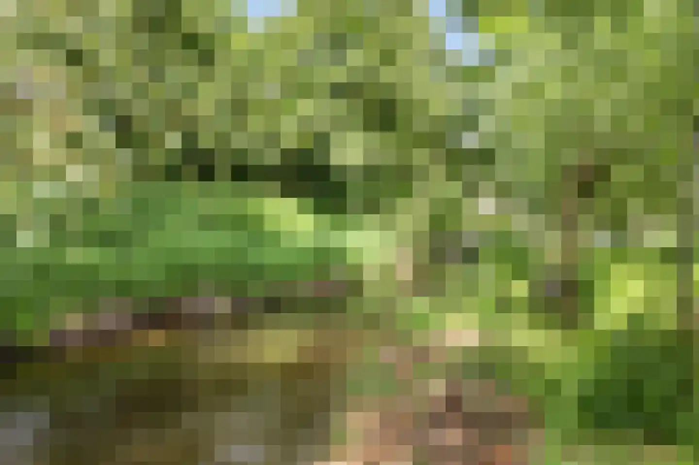 Levroy 22 Swalmen thumbnail 42