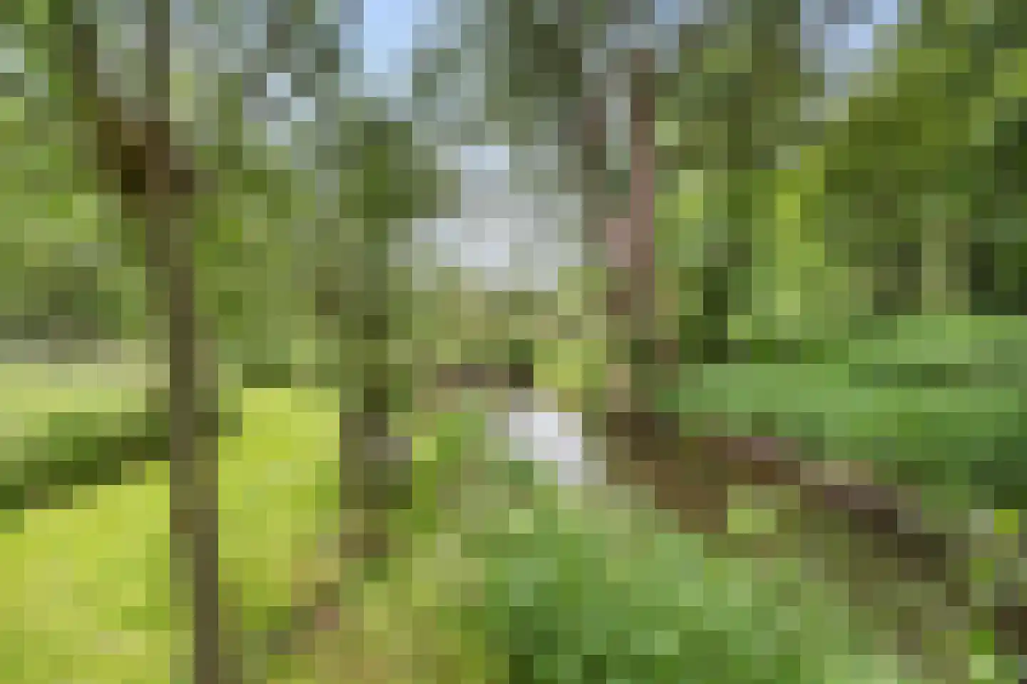 Levroy 22 Swalmen thumbnail 43