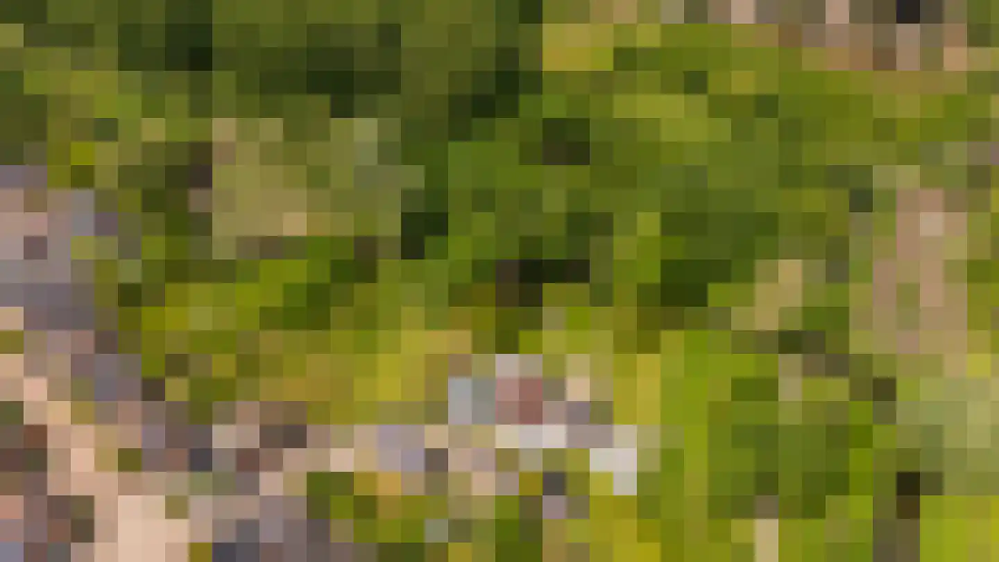 Levroy 22 Swalmen thumbnail 44