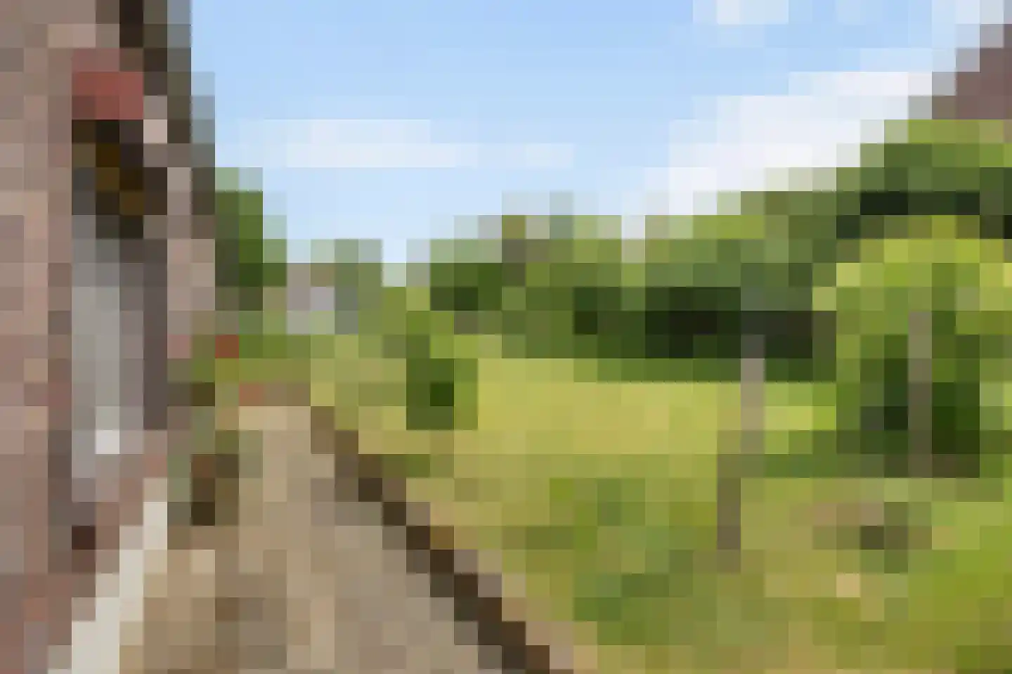 Levroy 22 Swalmen thumbnail 6